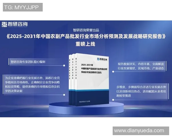 竞技阶段调整的深度解读与策略分析探讨 竞技阶段调整的深度解读与策略分析探讨