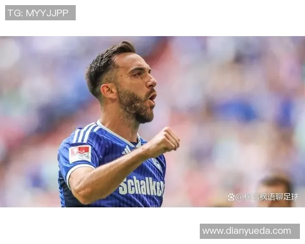 沙尔克04主场保持不败,稳坐积分榜前列 沙尔克04主场保持不败,稳坐积分榜前列